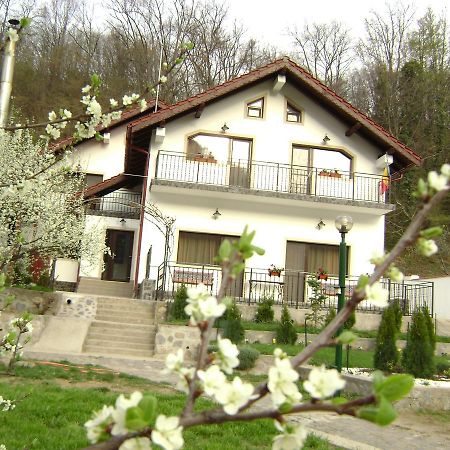 Pension Casa Natura Băile Herculane Exteriér fotografie