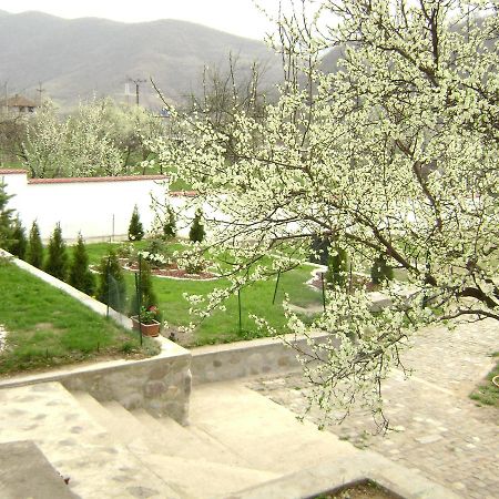 Pension Casa Natura Băile Herculane Exteriér fotografie