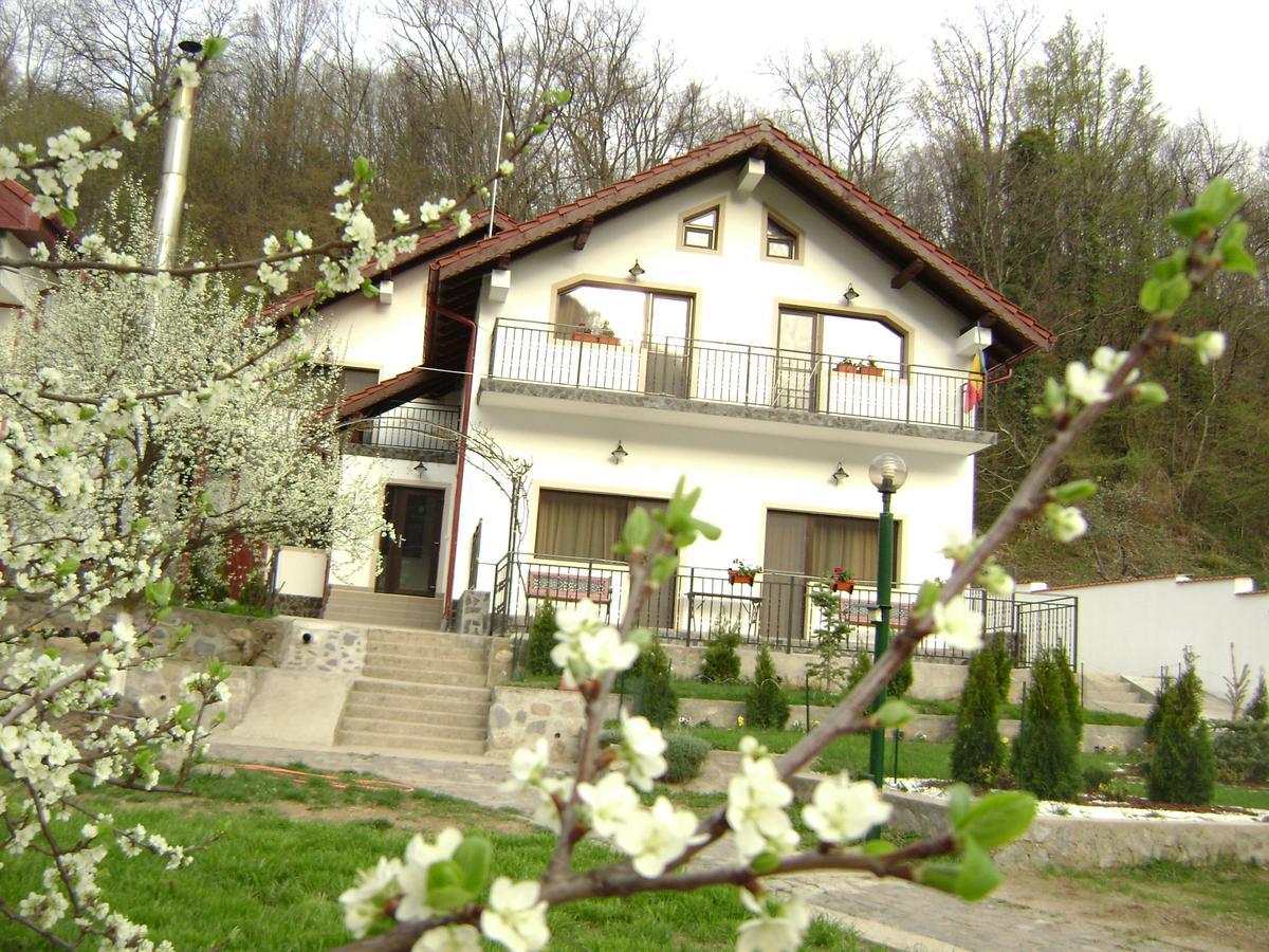 Pension Casa Natura Băile Herculane Exteriér fotografie