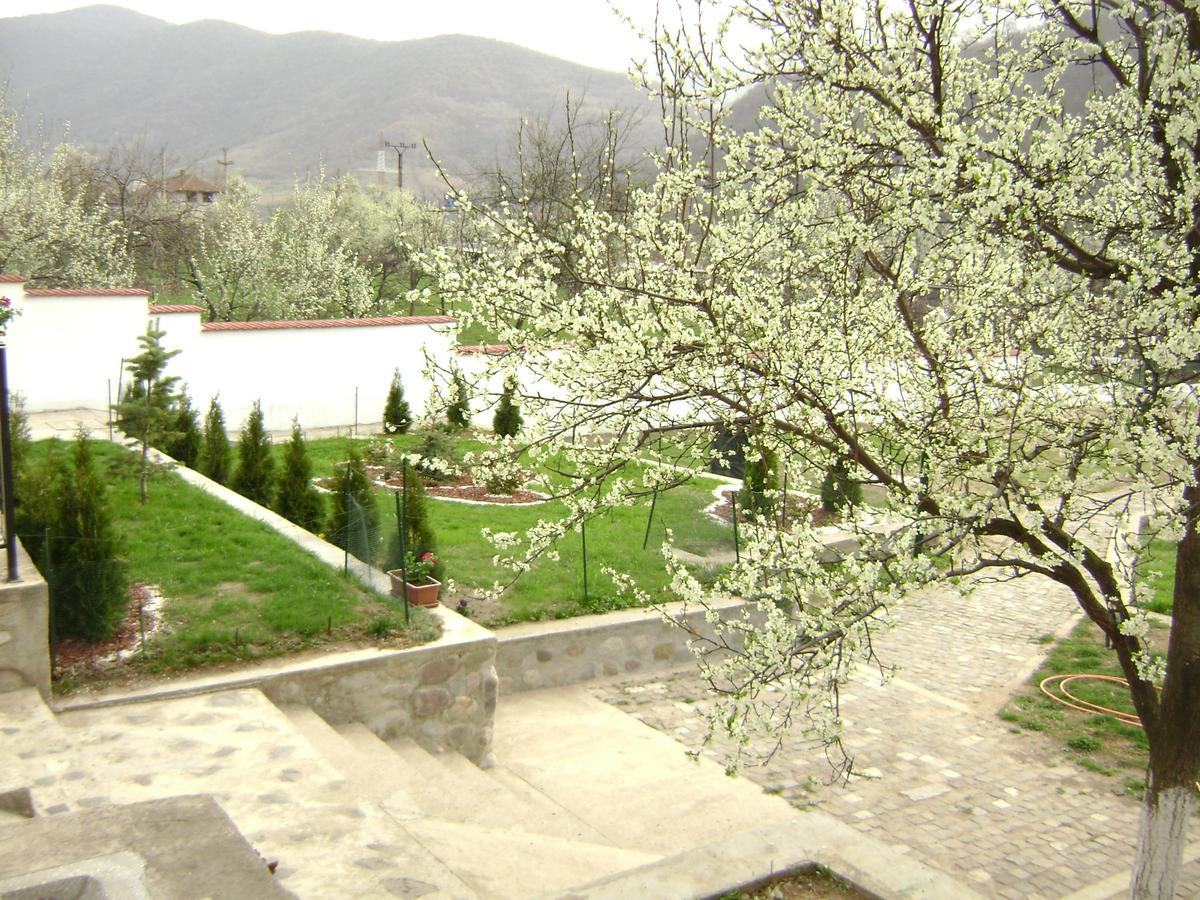Pension Casa Natura Băile Herculane Exteriér fotografie