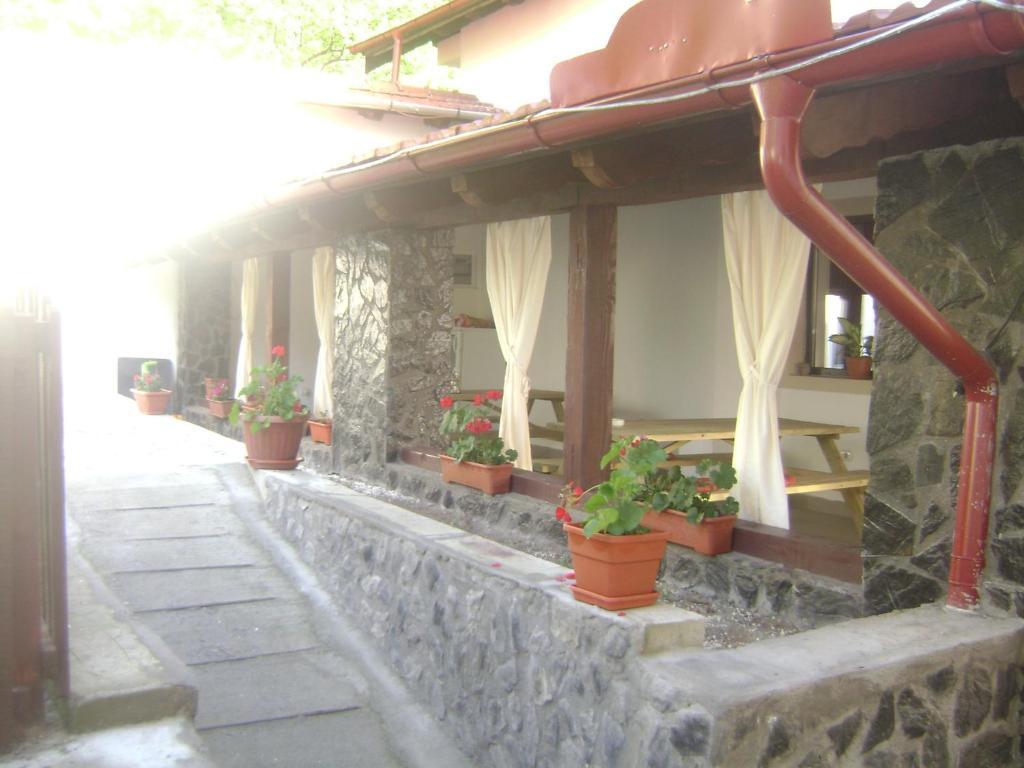 Pension Casa Natura Băile Herculane Exteriér fotografie