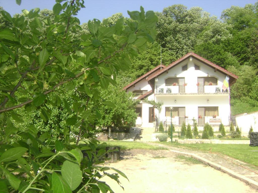 Pension Casa Natura Băile Herculane Exteriér fotografie