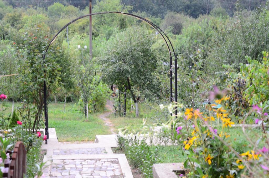 Pension Casa Natura Băile Herculane Exteriér fotografie