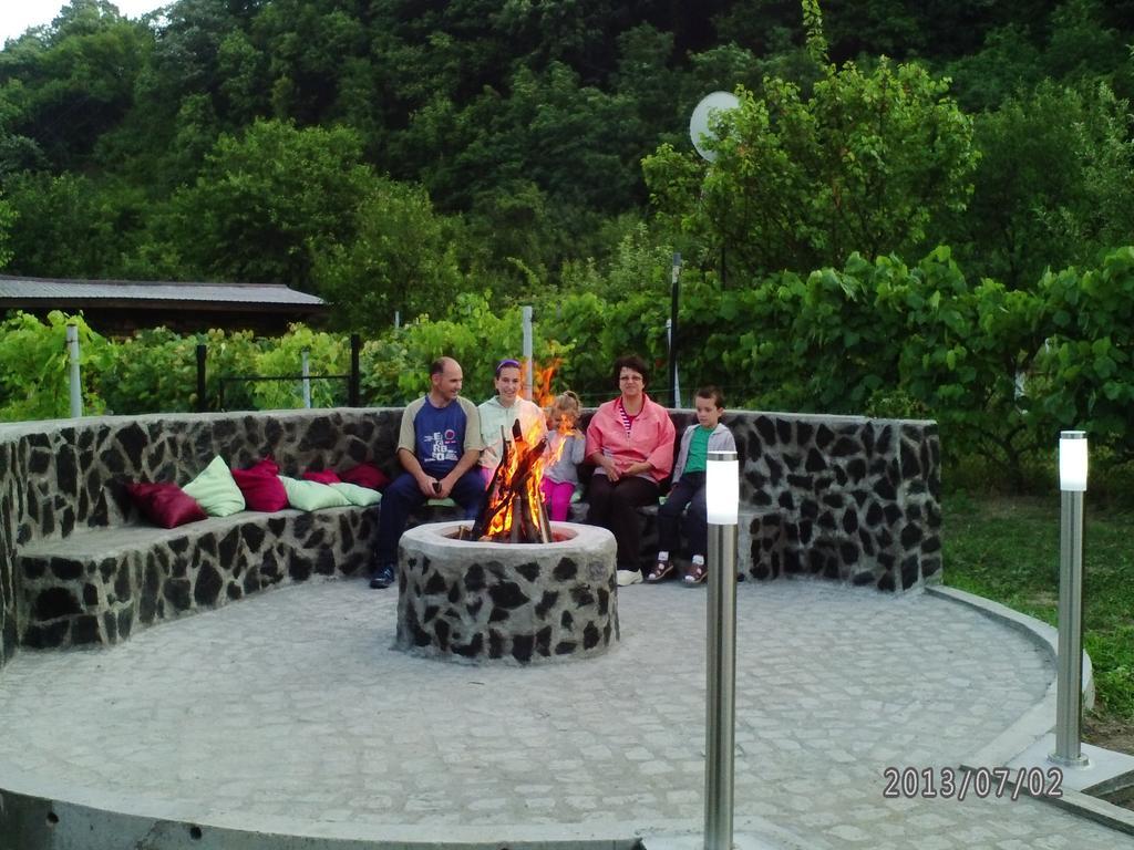 Pension Casa Natura Băile Herculane Exteriér fotografie