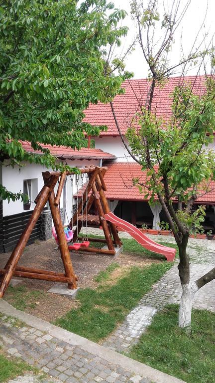 Pension Casa Natura Băile Herculane Exteriér fotografie