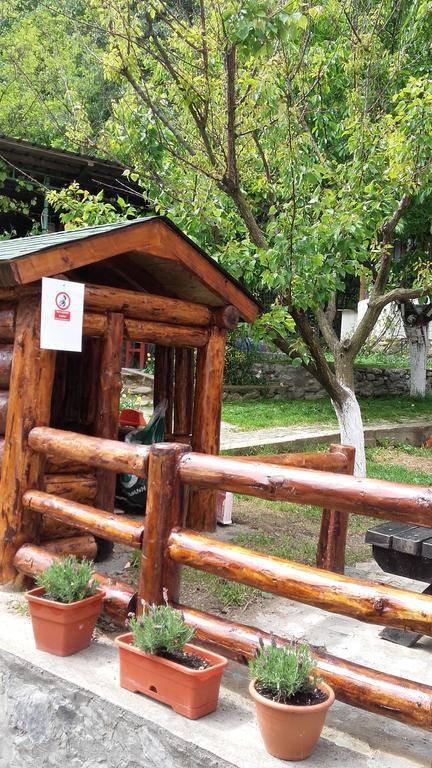 Pension Casa Natura Băile Herculane Exteriér fotografie