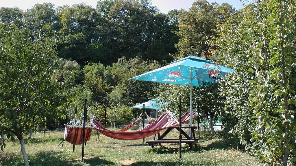 Pension Casa Natura Băile Herculane Exteriér fotografie
