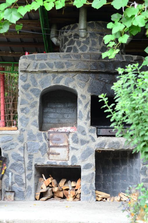 Pension Casa Natura Băile Herculane Exteriér fotografie